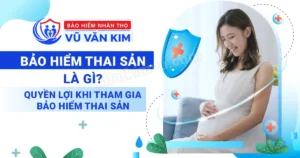 bao-hiem-thai-san