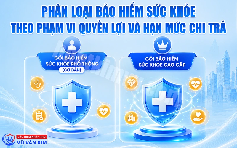 Phân loại các loại bảo hiểm sức khỏe theo phạm vi quyền lợi