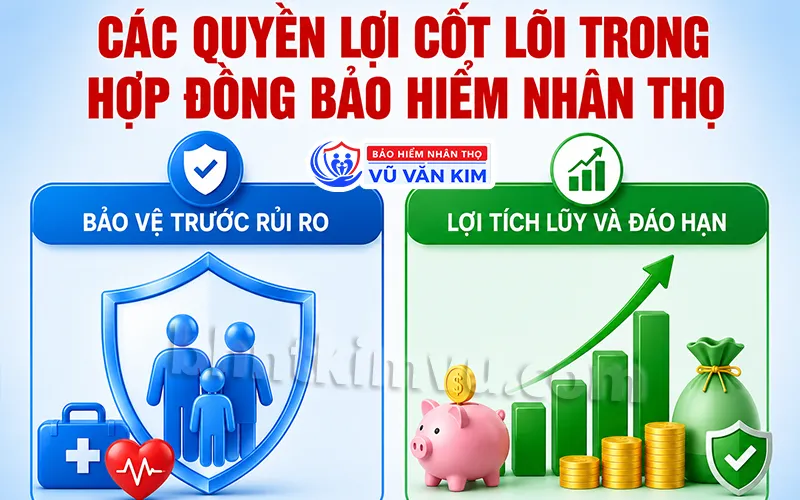 Các Quyền Lợi Cốt Lõi Trong Hợp Đồng Bảo Hiểm Nhân Thọ