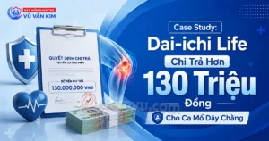 case-study-anh-son