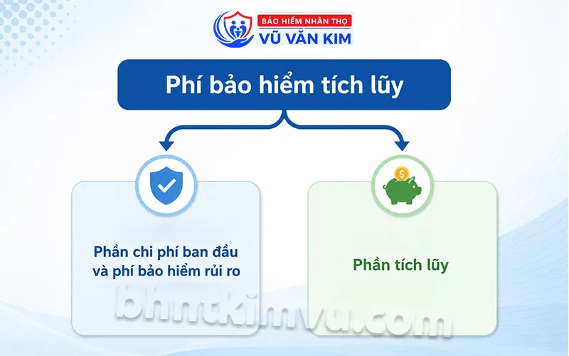 Cách bảo hiểm tích lũy phân bổ dòng tiền
