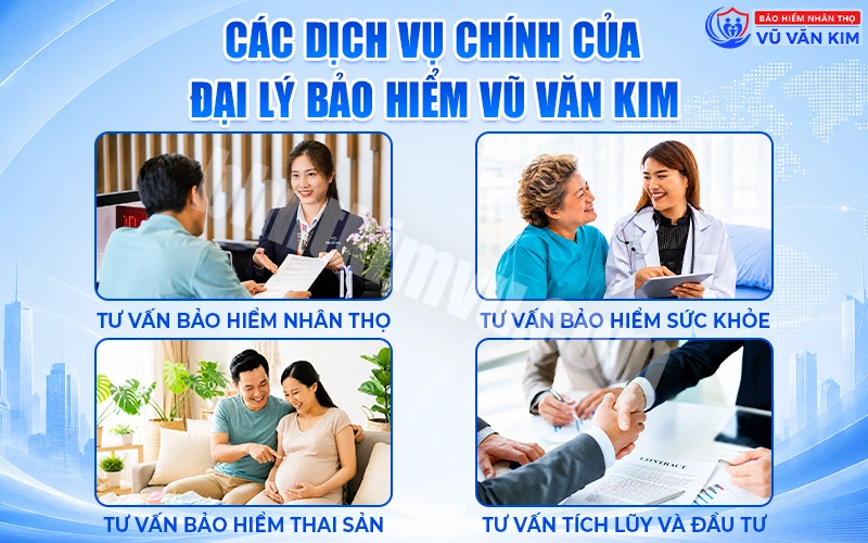 Các dịch vụ chính của đại lý bảo hiểm Vũ Văn Kim