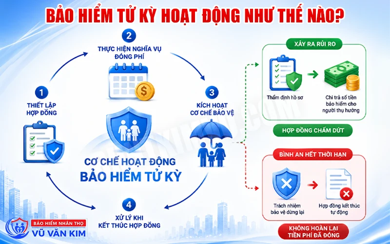Cơ chế hoạt động Bảo hiểm tử kỳ