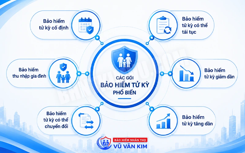 Các gói bảo hiểm tử kỳ phổ biến