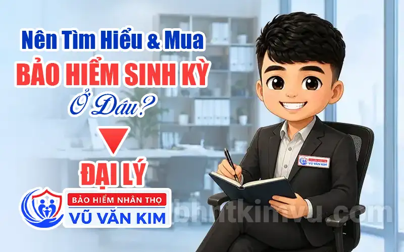 Nên mua bảo hiểm sinh kỳ ở đâu?