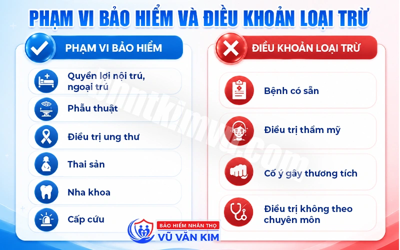 Phạm vi bảo hiểm và điều khoản loại trừ