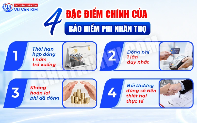  4 Đặc điểm chính của bảo hiểm phi nhân thọ