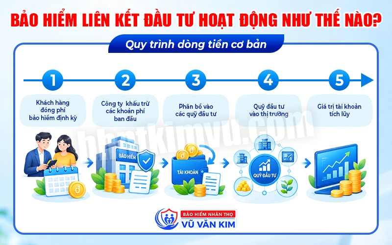 Bảo hiểm liên kết đầu tư hoạt động như thế nào