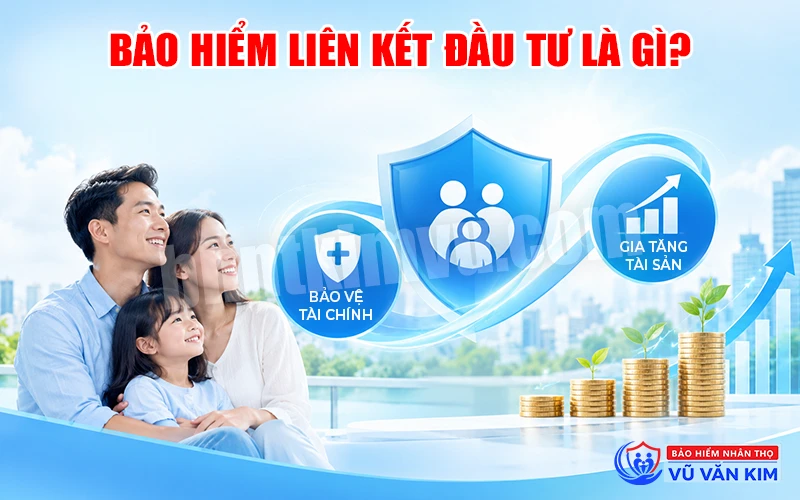 Bảo hiểm liên kết đầu tư là gì

