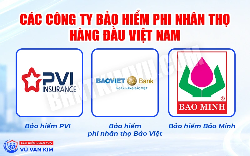Các công ty bảo hiểm phi nhân thọ hàng đầu Việt Nam