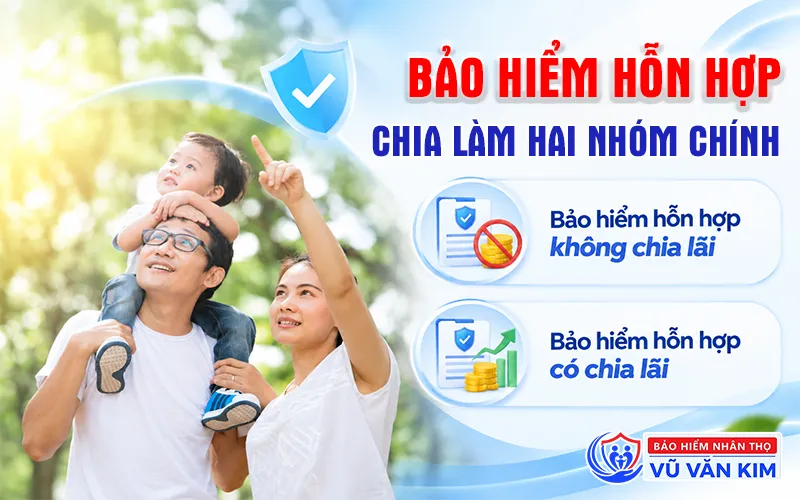 Hai nhóm bảo hiểm hỗn hợp
