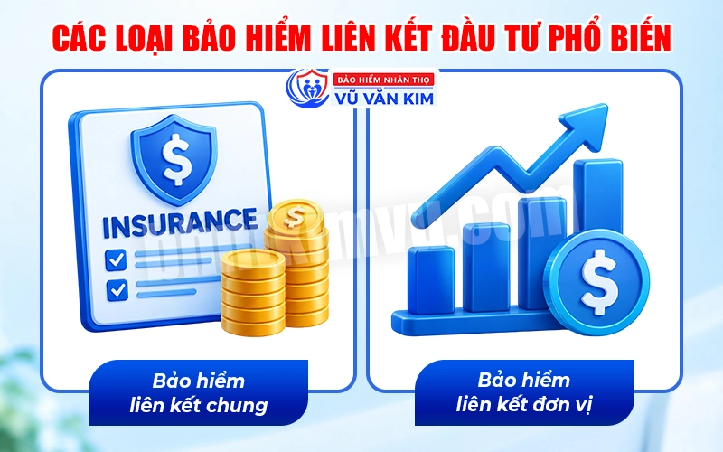 Các loại bảo hiểm liên kết đầu tư phổ biến
